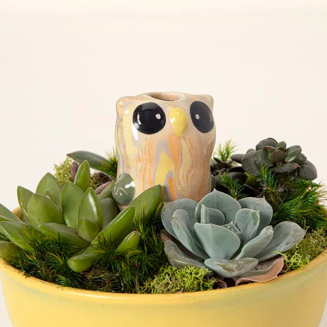 Bird & Owl Plant Watering Dripper